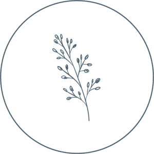 Divider image